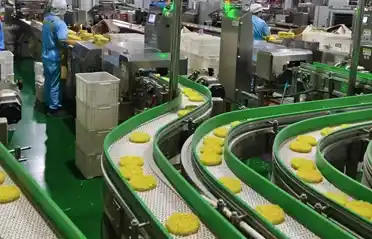 Bagaimana untuk Memilih Blok Mi Segera yang Selamat? Pandangan Dalam Bengkel Makanan Qinhuangdao Dongyang